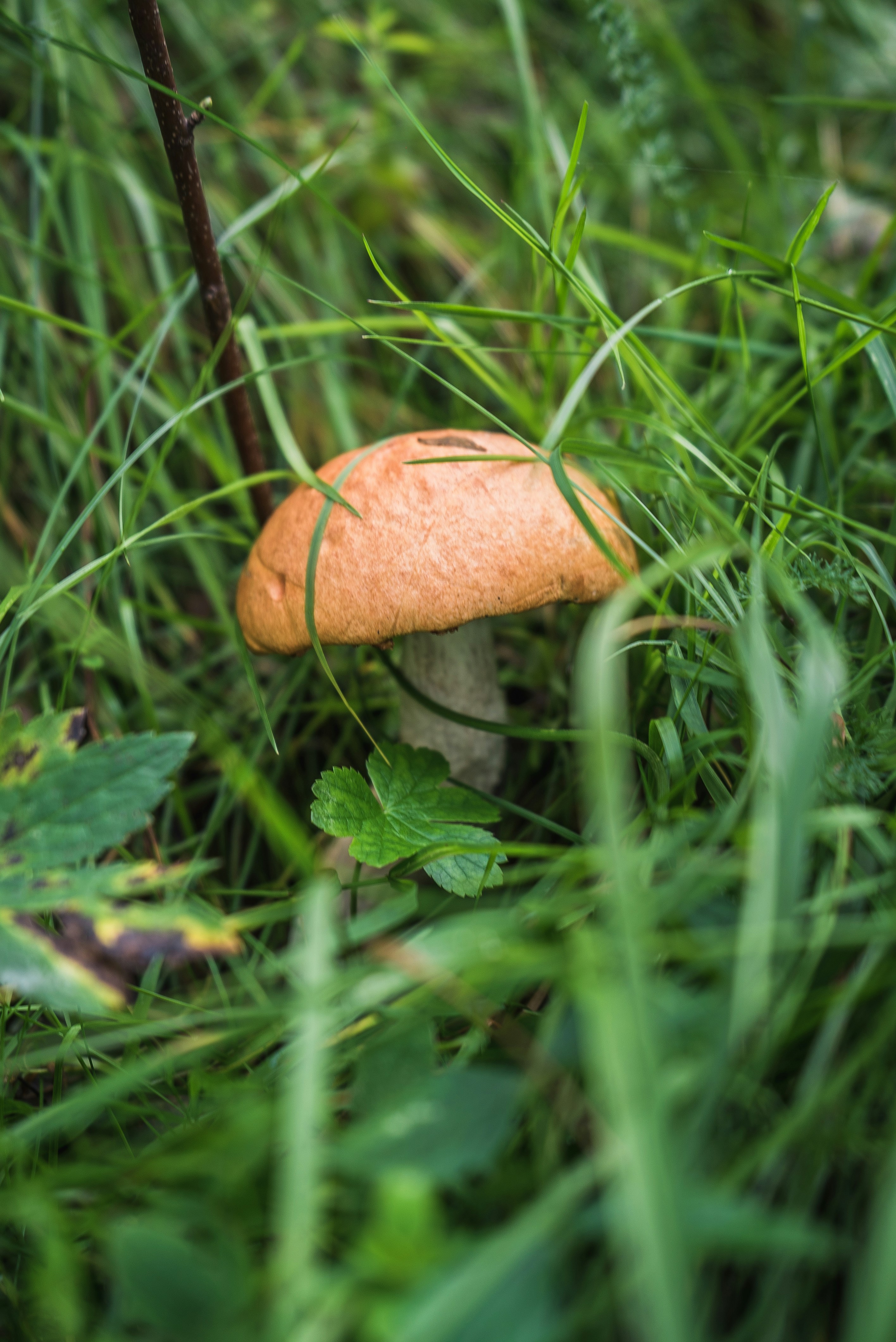 Photo by stockticker