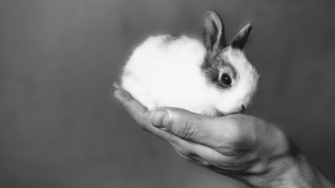 man holding a small bunny