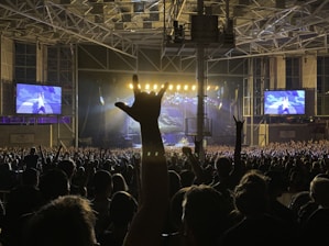 a large crowd of people watching a concert