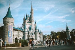 people visiting Disneyland