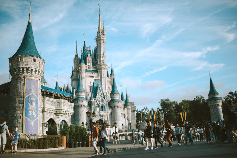 people visiting Disneyland