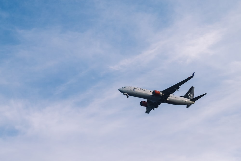 white and gray airplane