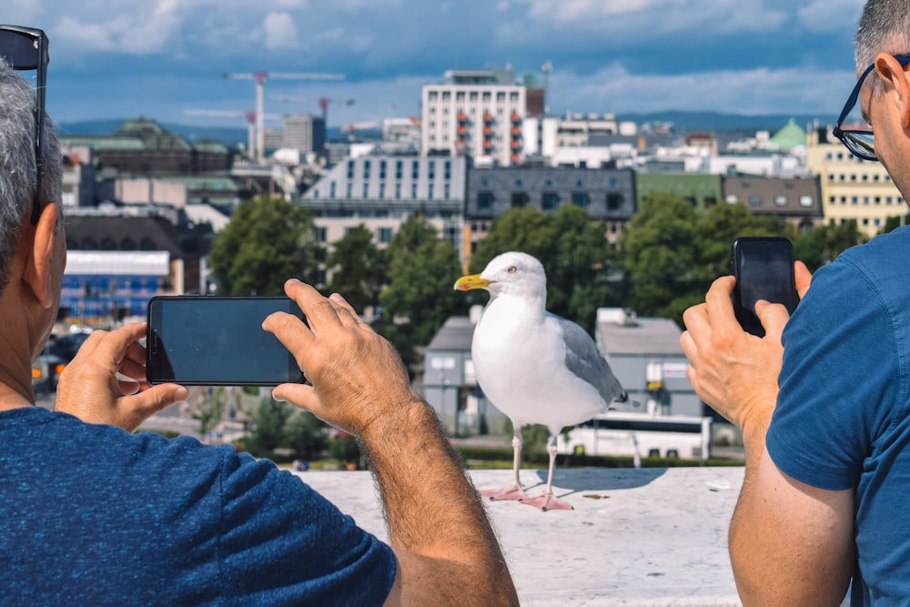 two men talking photo of seagull