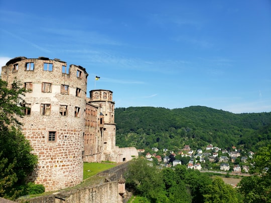 Heidelberg Castle Garden things to do in Weinheim