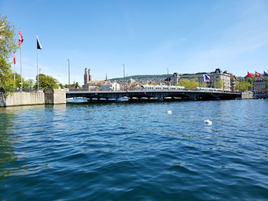 body of water in Bürkliplatz Switzerland