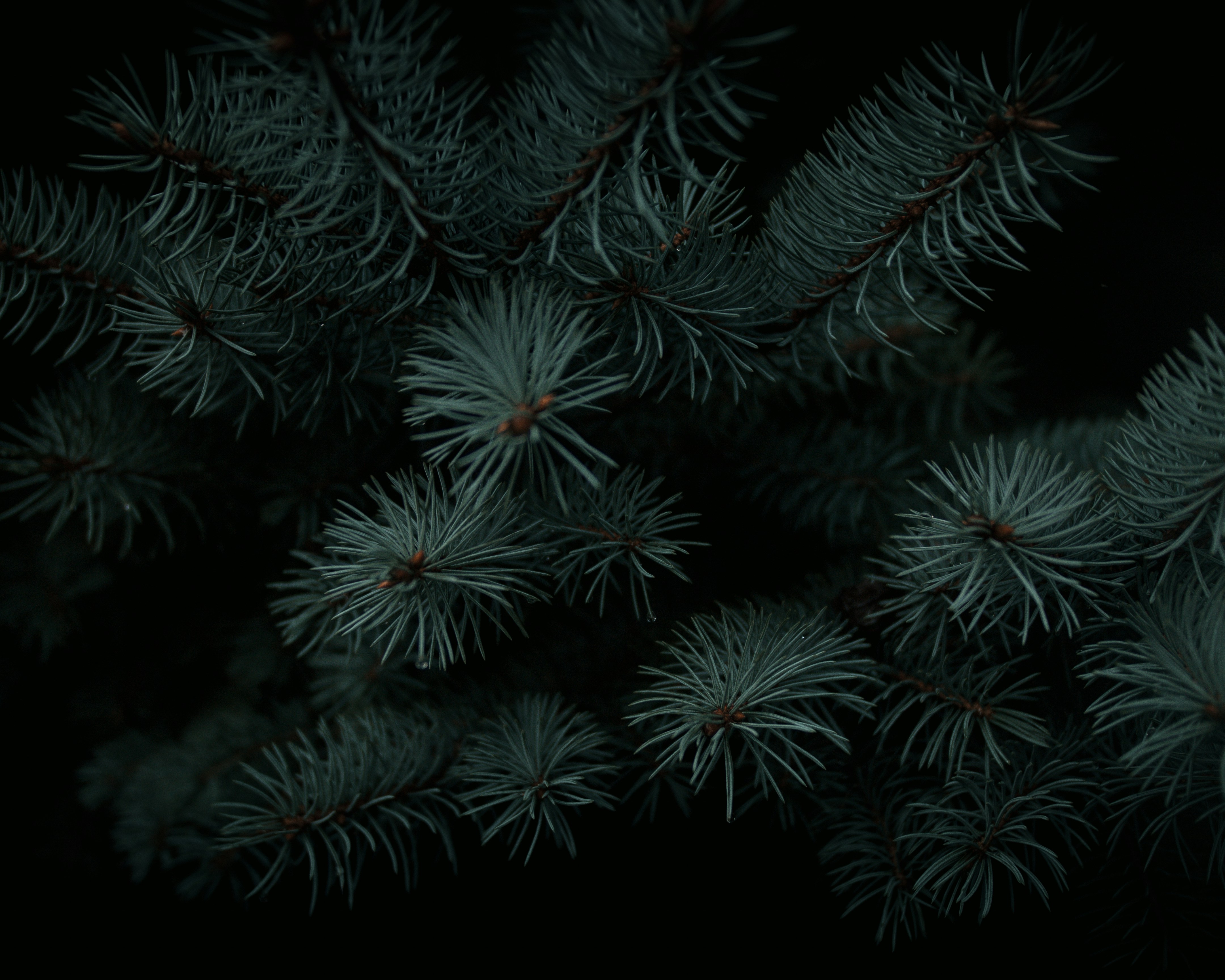 Photo by mendozamatthew_