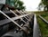 The image captures a close-up view of agricultural machinery, possibly a combine harvester or similar equipment, with sharp metal components aligned in parallel. The background features blurred greenery, hinting at a rural or farm setting.