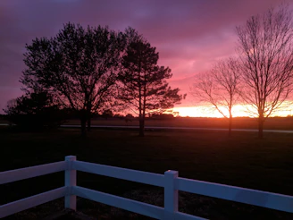 A scenic sunset behind a weathered fence, with a t-shirt draped over the rail showcasing a nature motif