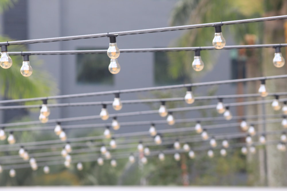 gray and black string lights