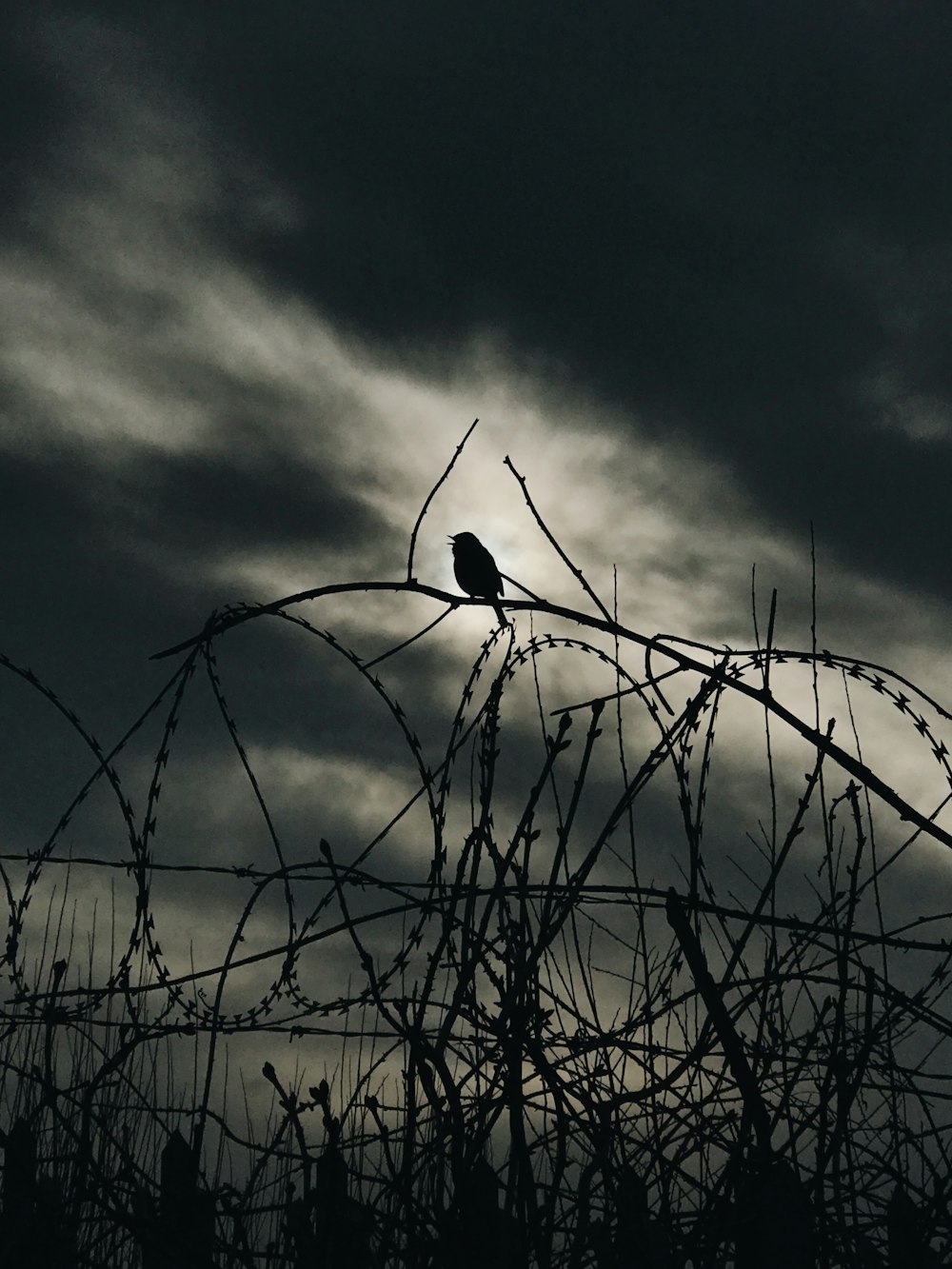 silhouette photo of black baubwire