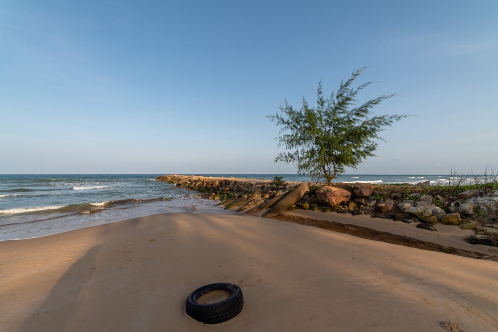 a tire laying on a beach next to the ocean