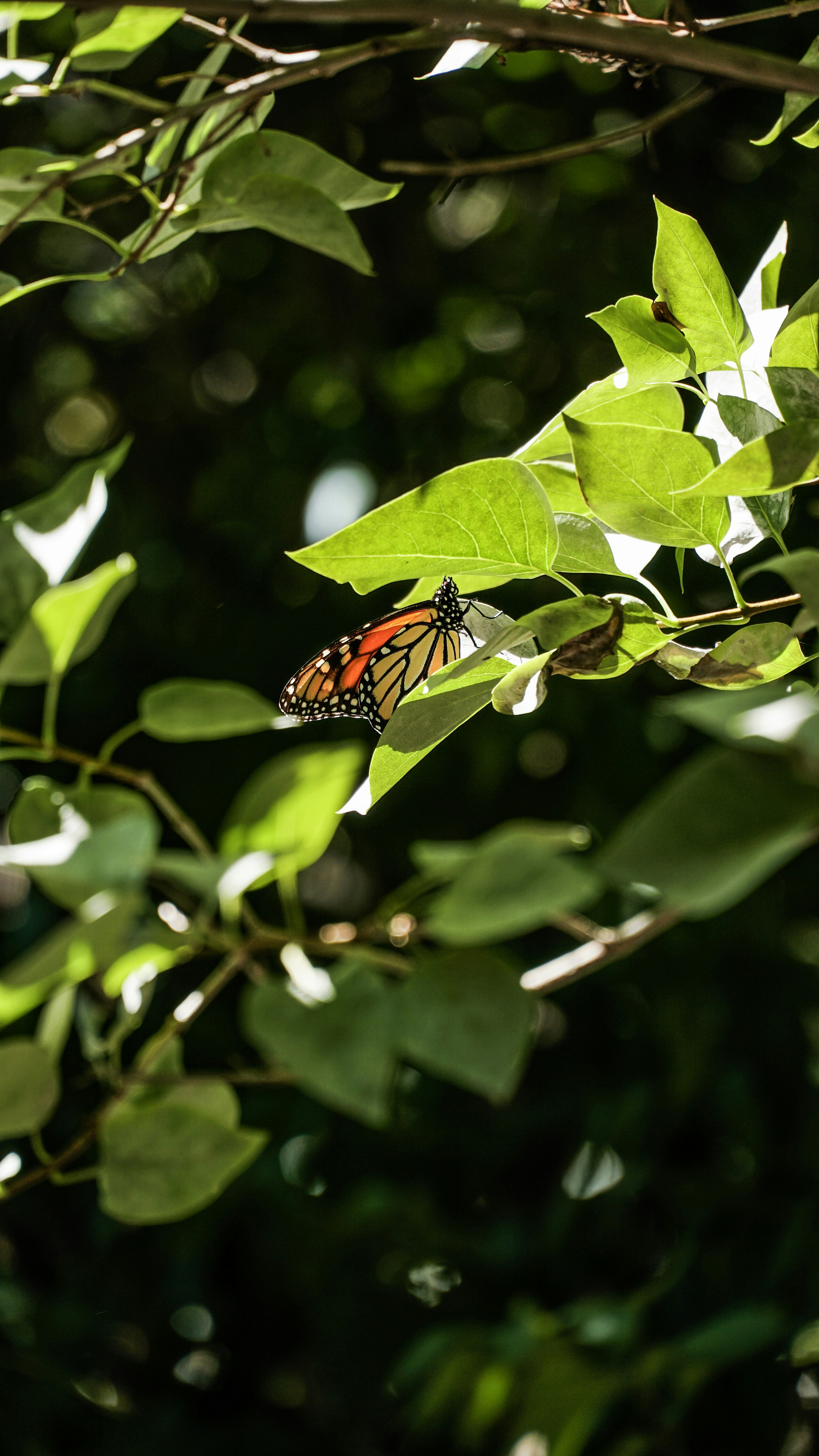 Photo by eternalseconds