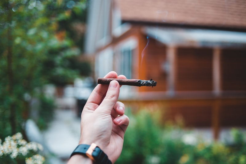 Illusione Epernay Le Petit Cigar Review — Score & Tasting Notes