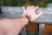 A person wearing a stylish bracelet made of colorful beads against a lively outdoor backdrop.