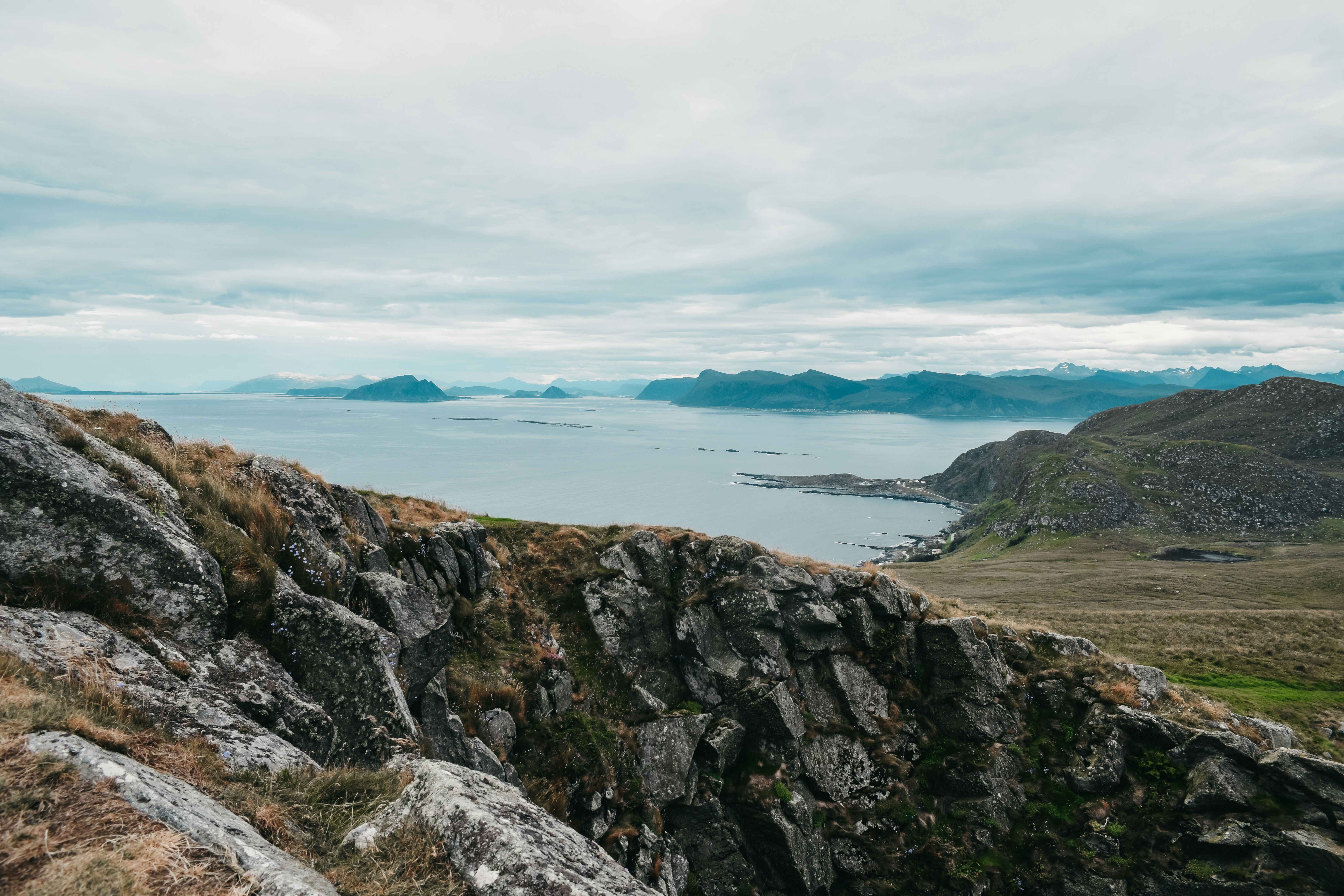 Photo by darya_tryfanava