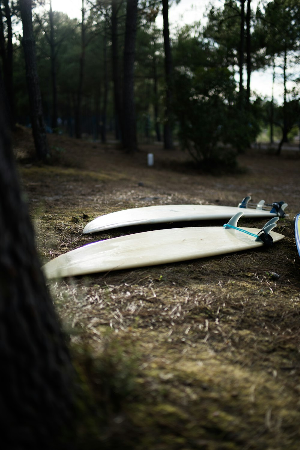 two white surfboards