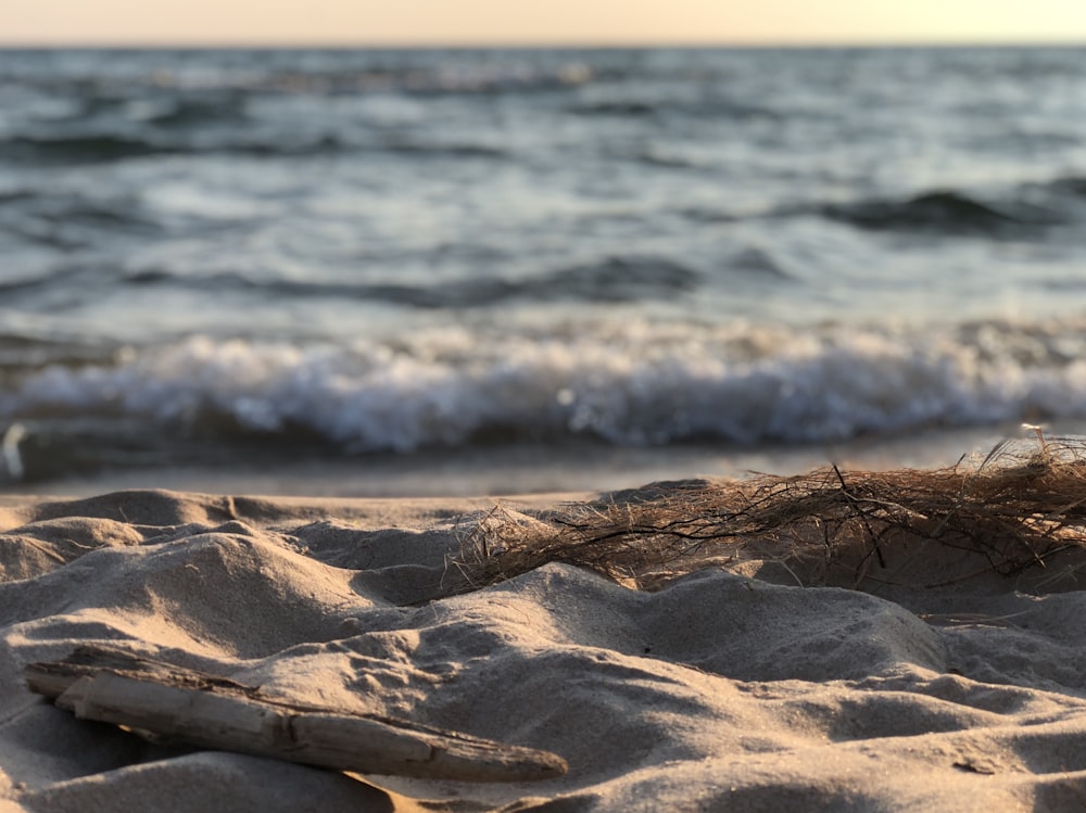 seashore during daytime