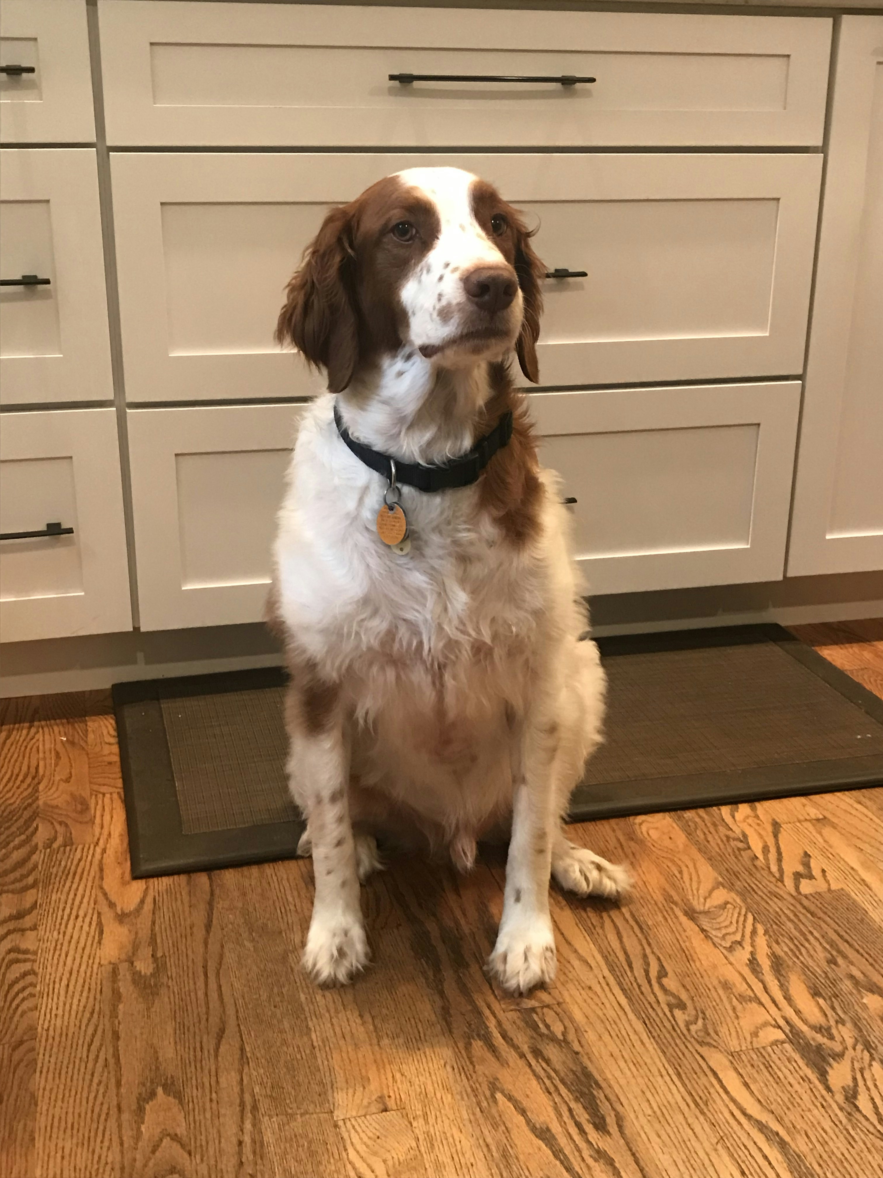 Photo by aramildogar