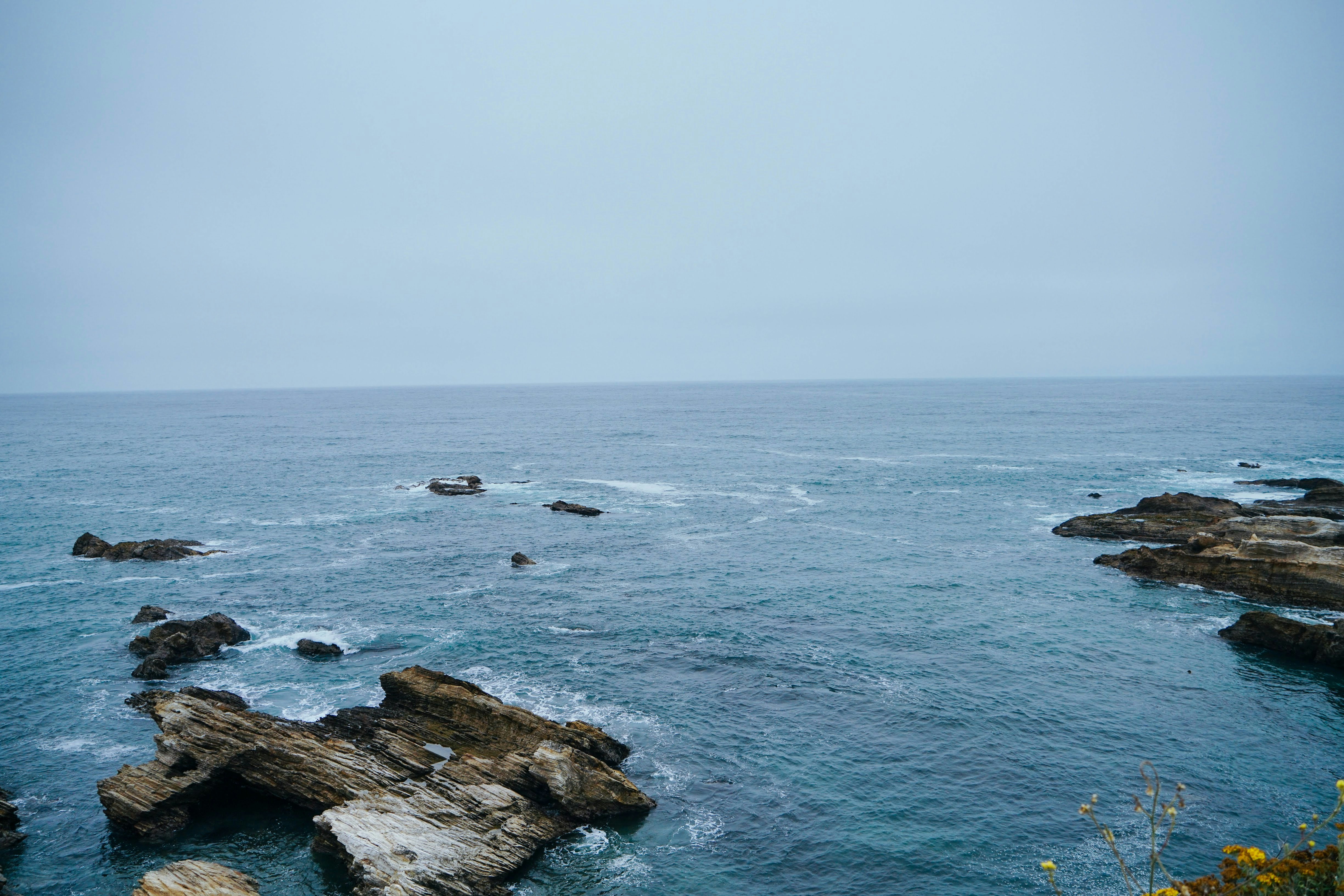 Photo by rosalindjchang