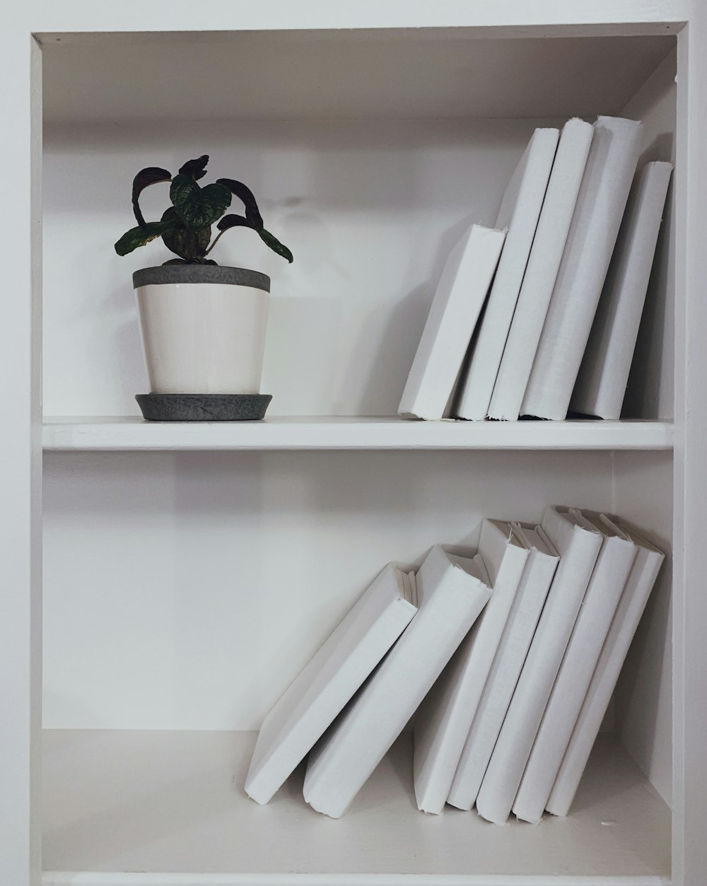 a white book shelf filled with books and a potted plant