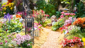 lined assorted-colored flowers