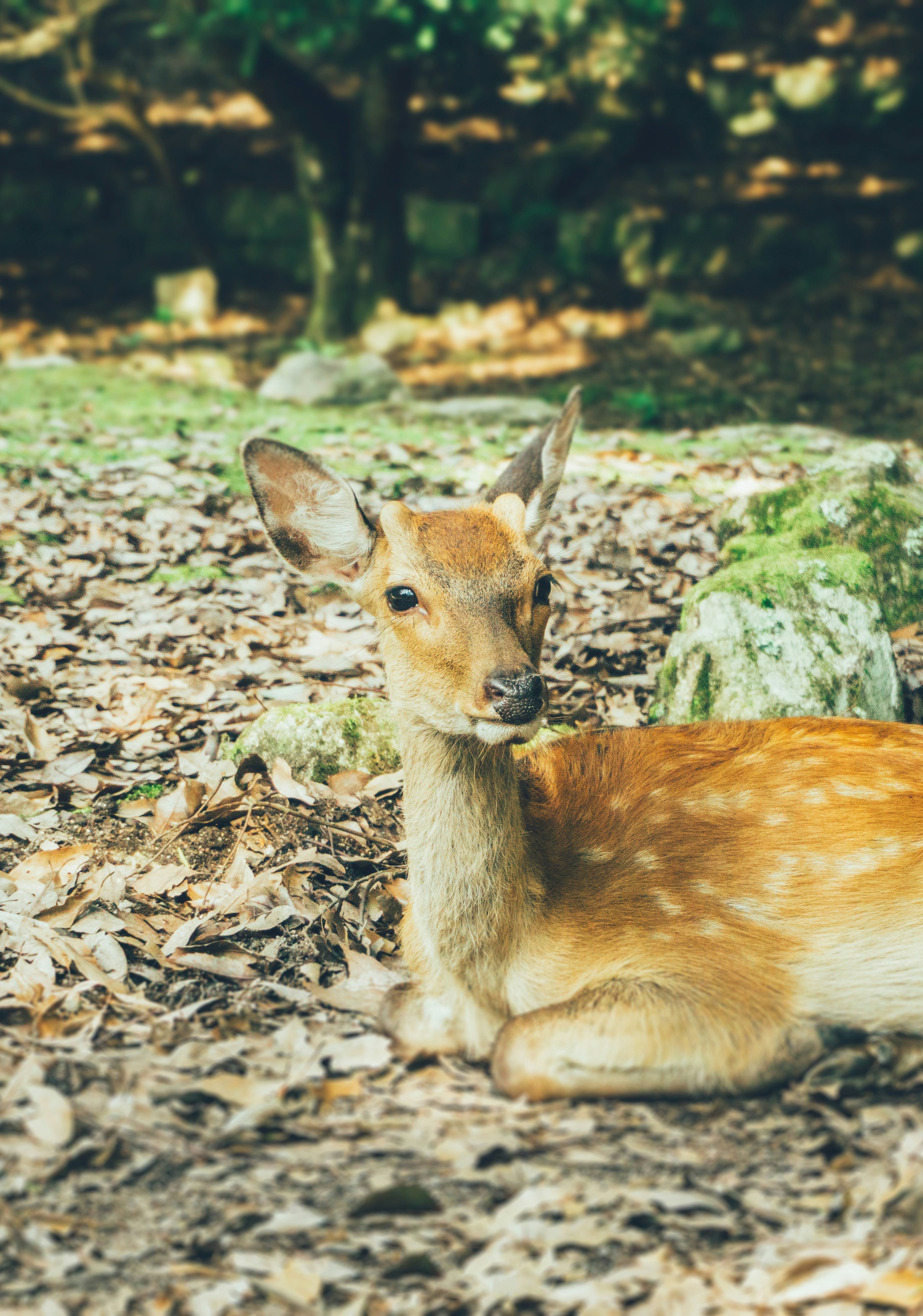 Photo by cosmonaut647