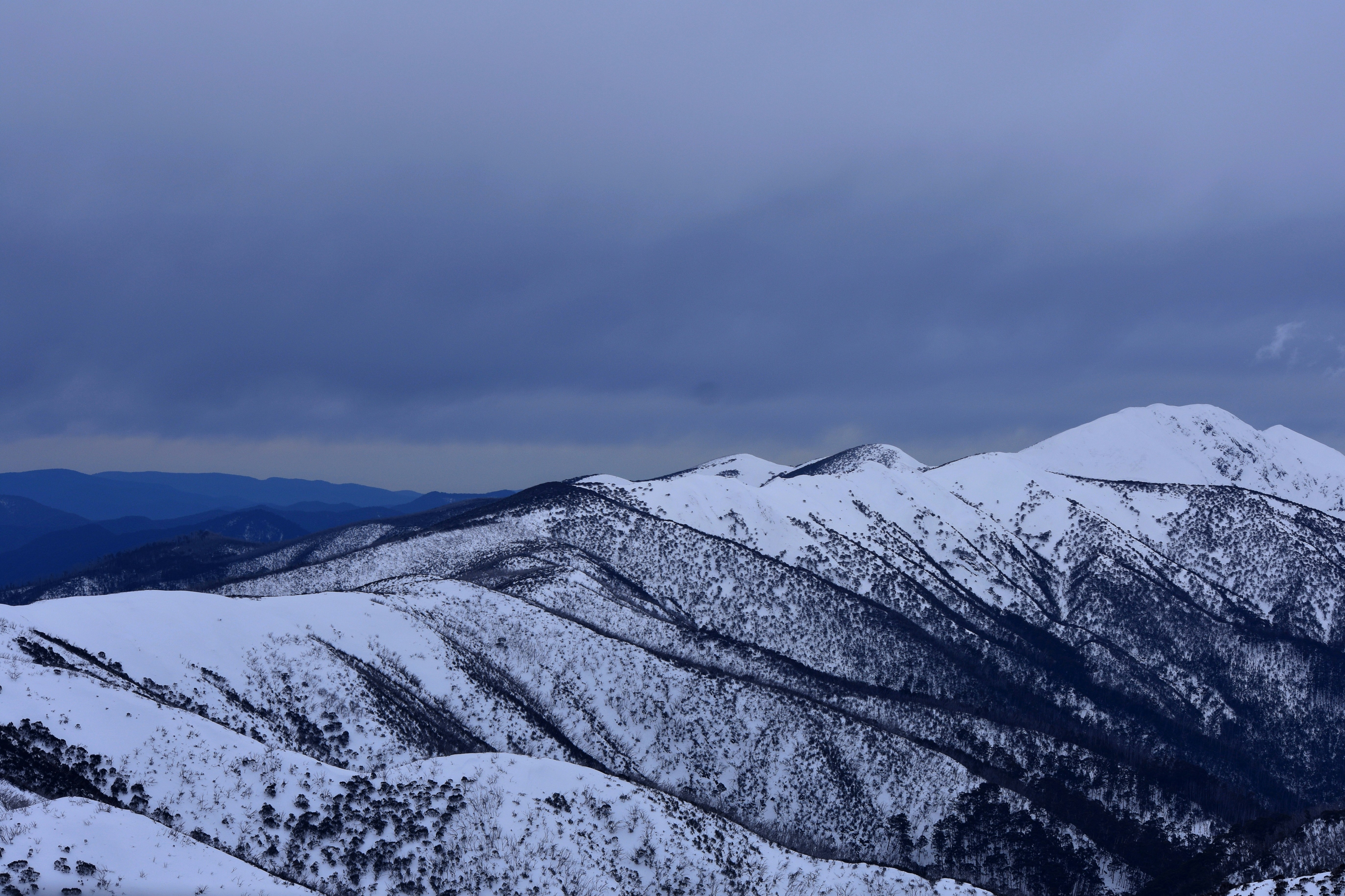 Photo by michellem18