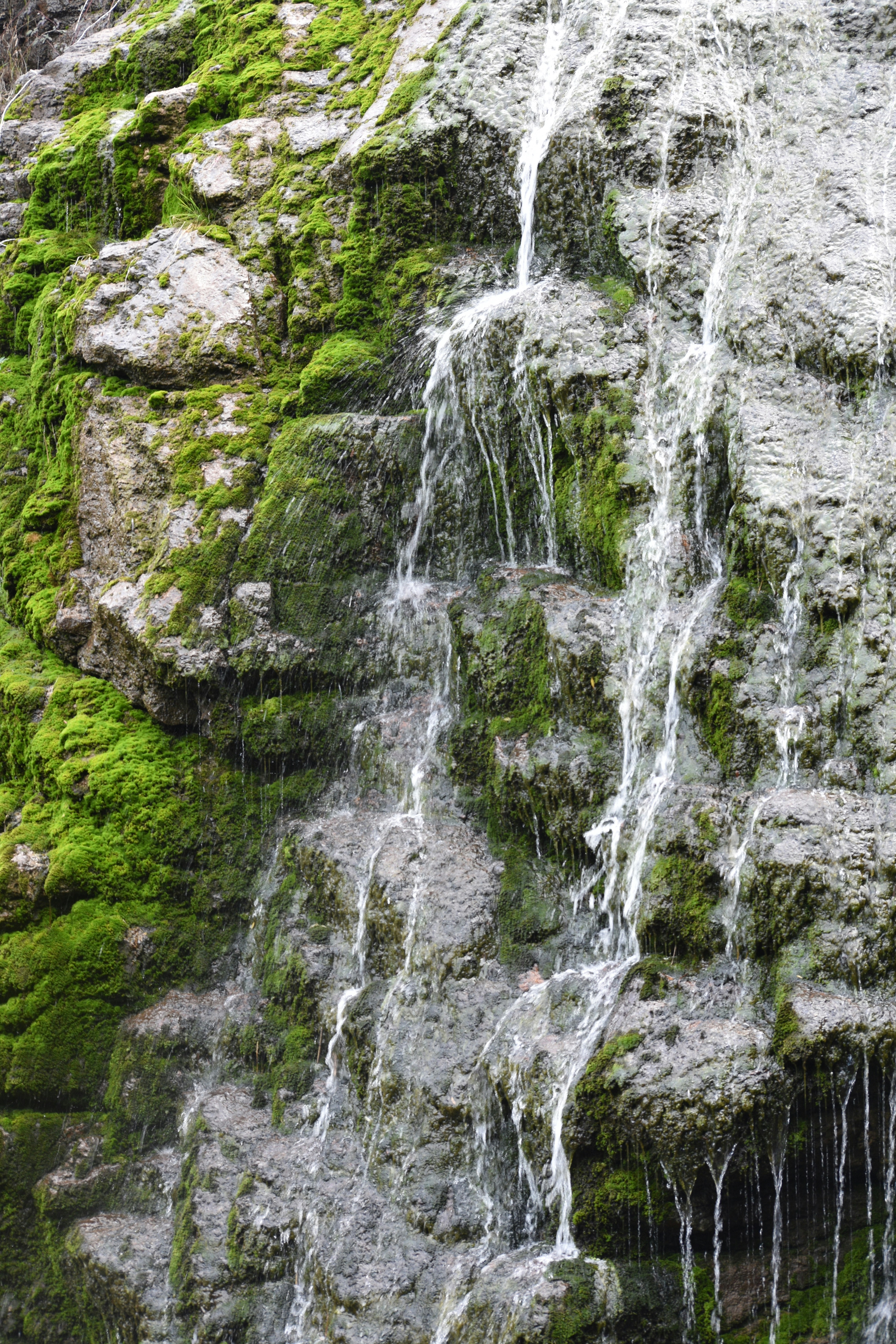 Photo by michellem18