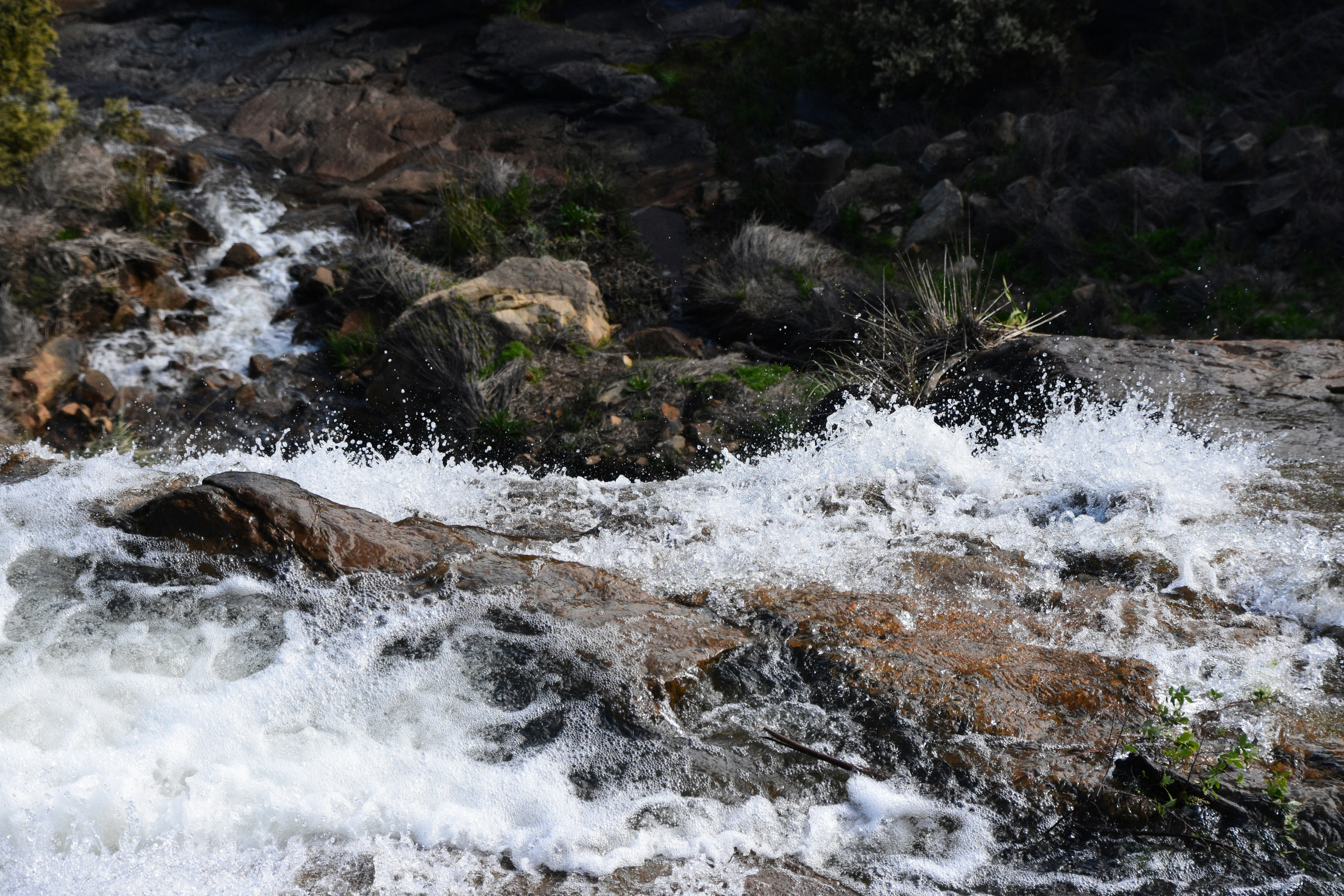 Photo by michellem18