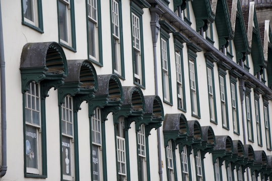 A row of historic buildings with green and white window frames and decorative awnings. Each window features a distinct architectural design with arched tops and ornate details. The storefronts below appear to house antique shops, as indicated by signage.