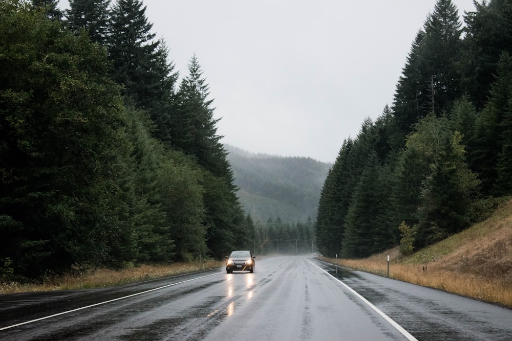 grey vehicle on roadway during daytime