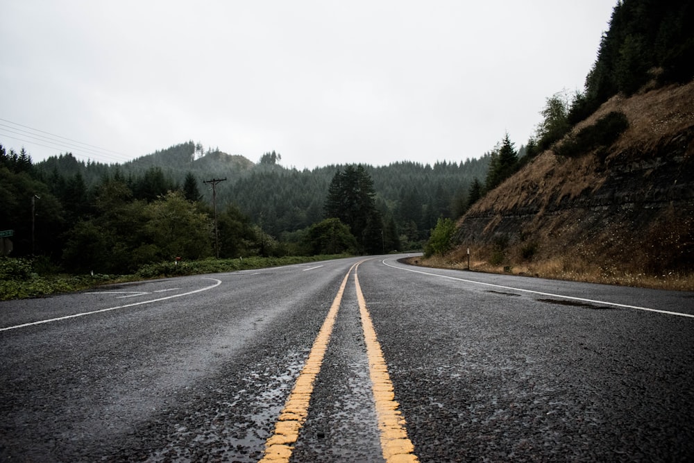 gray road and green trees