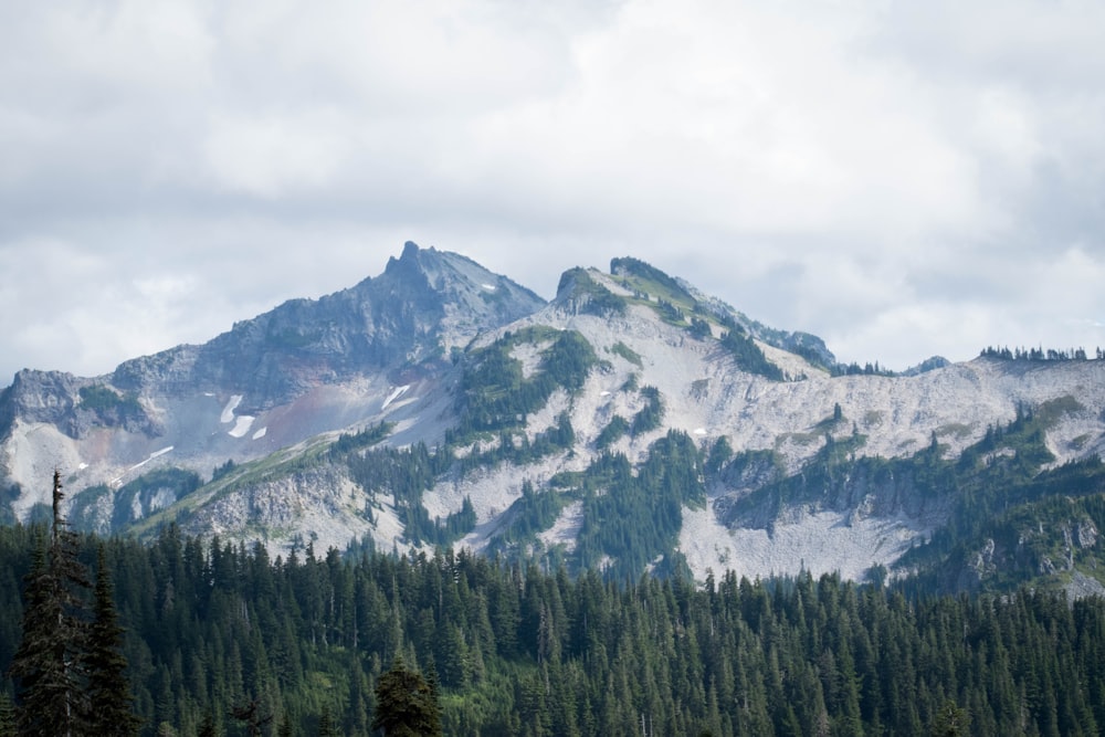 Montagne blanche et verte