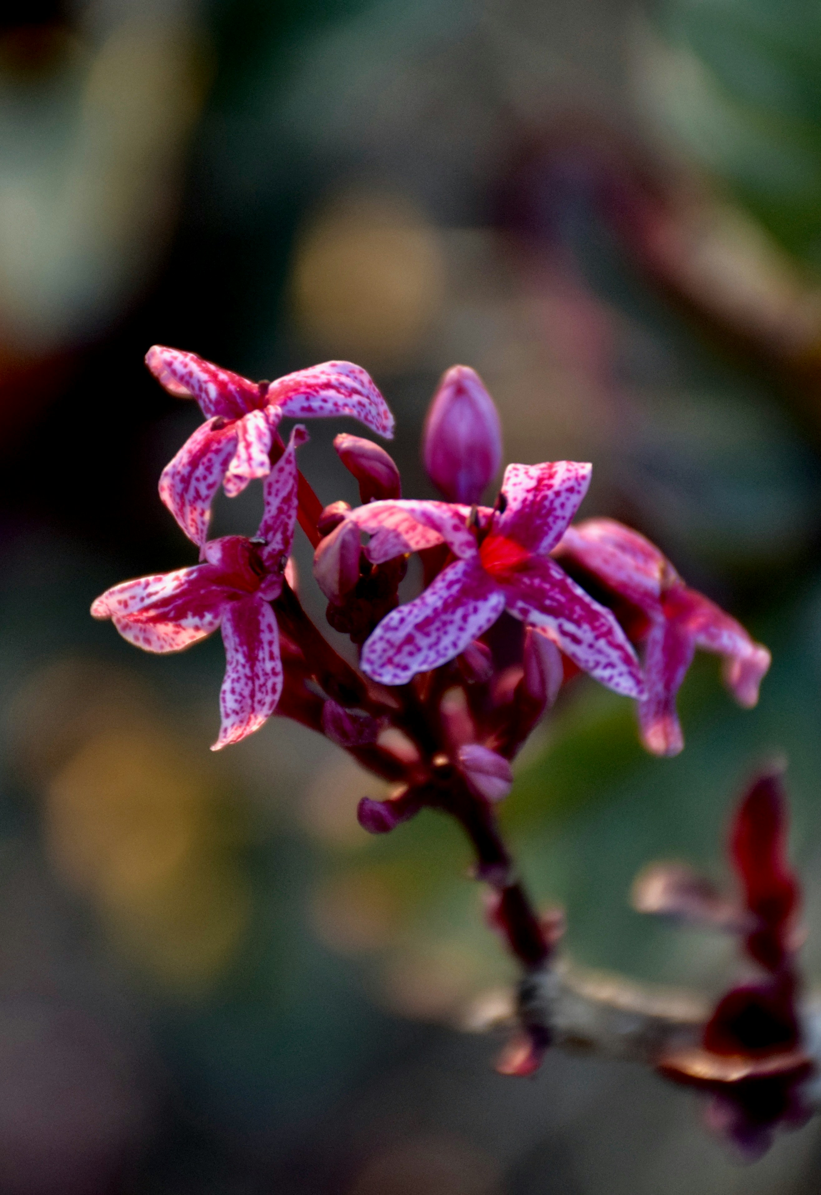 Photo by rrajputphotography