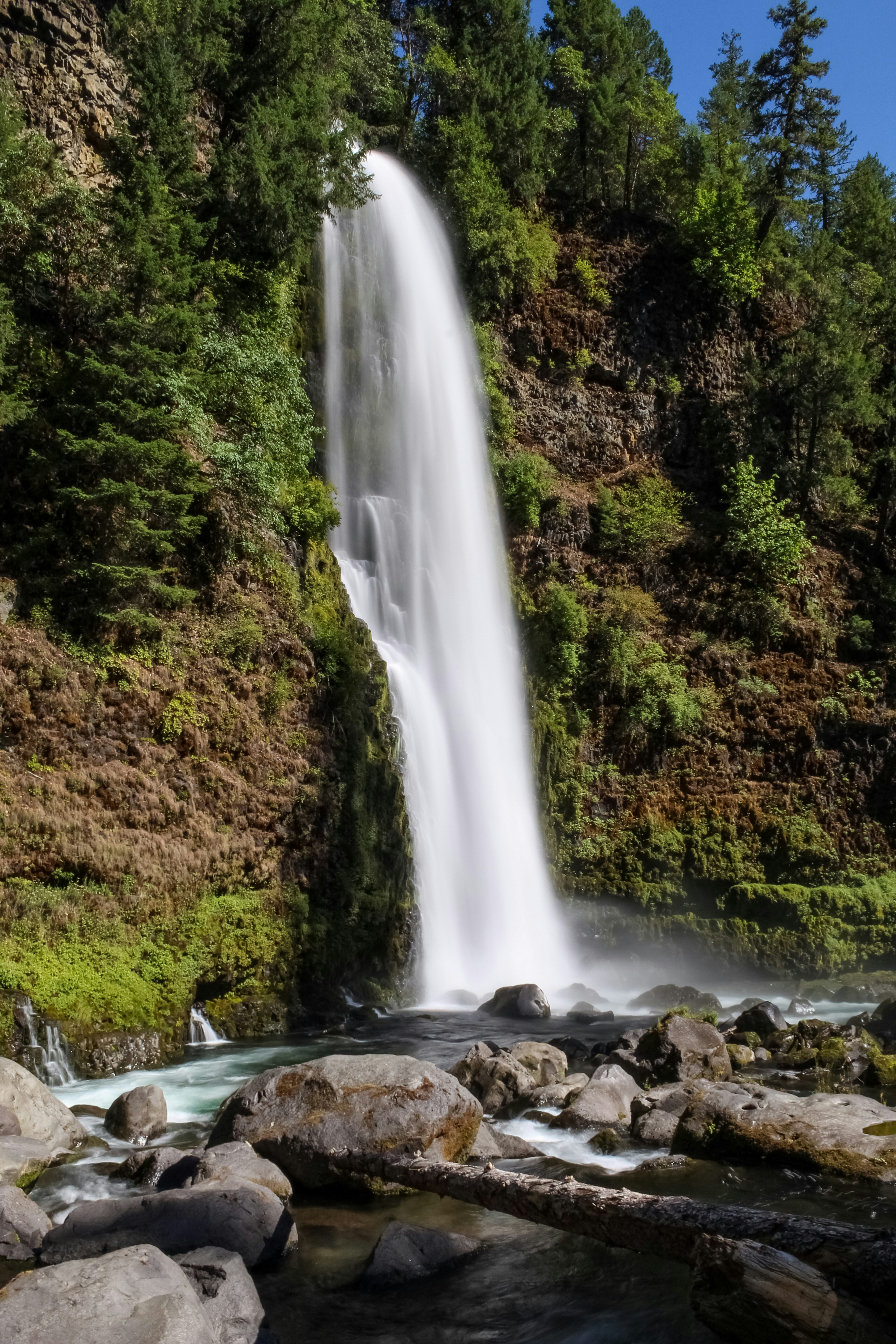 Photo by subm3rged_photography