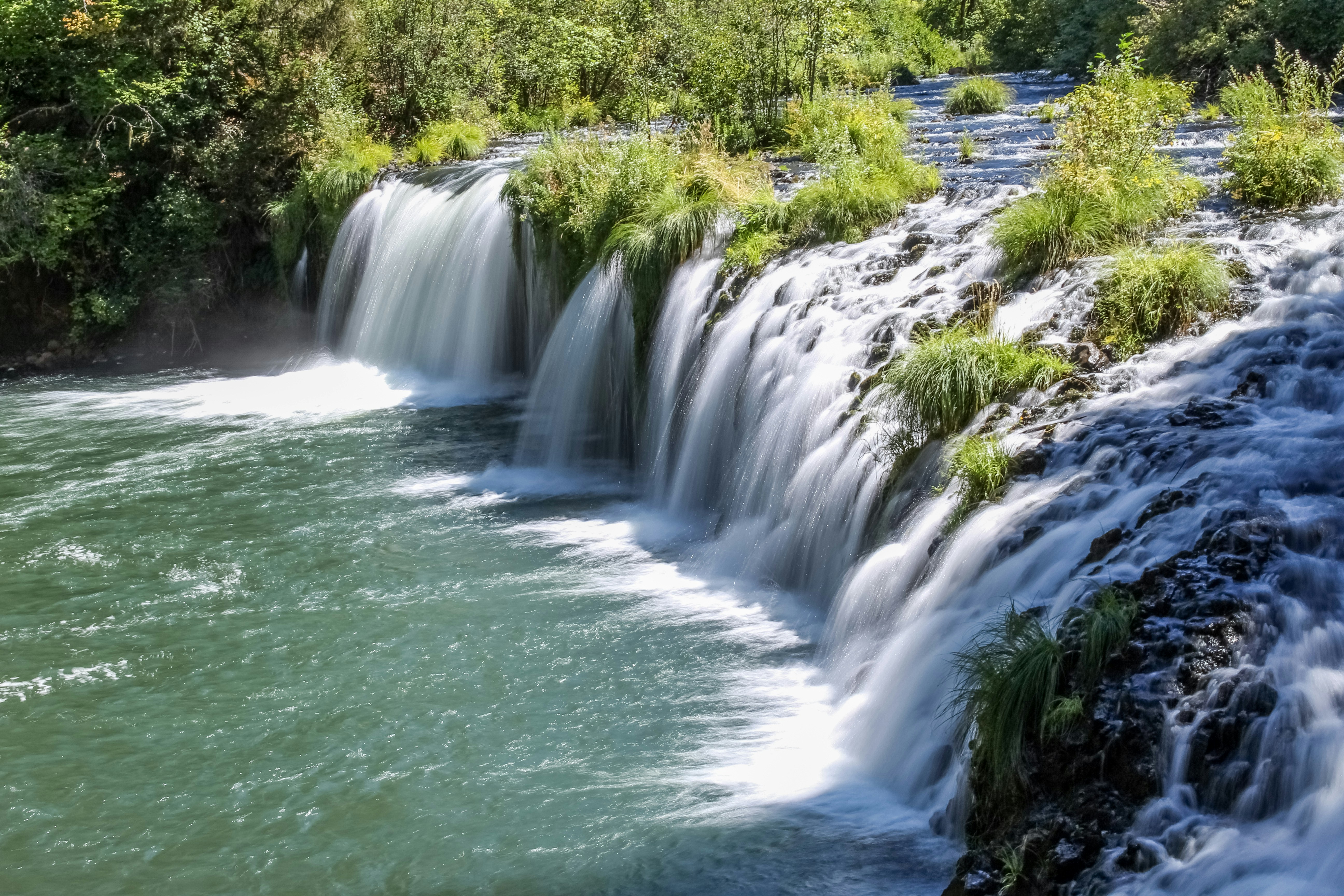 Photo by subm3rged_photography