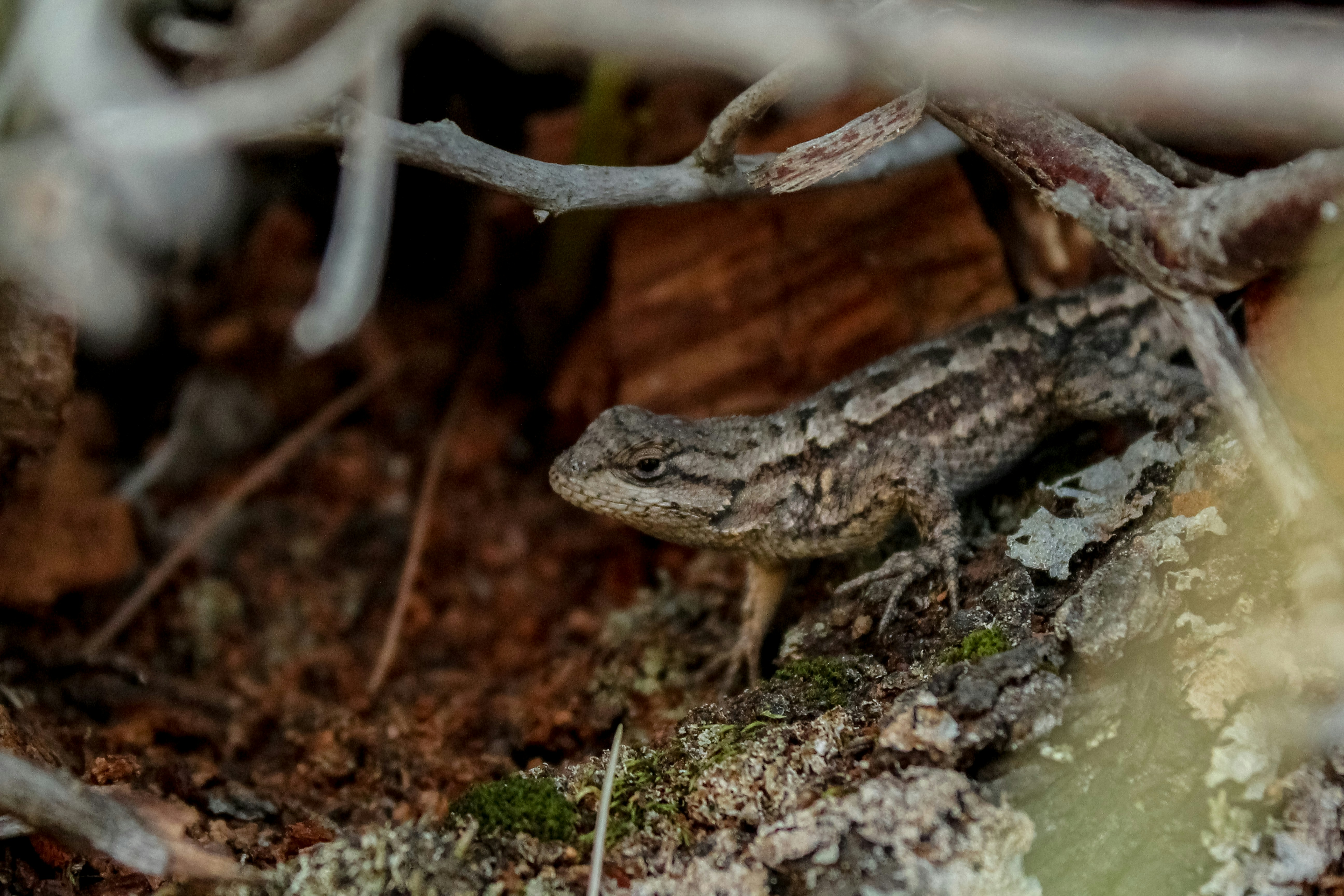 Photo by subm3rged_photography