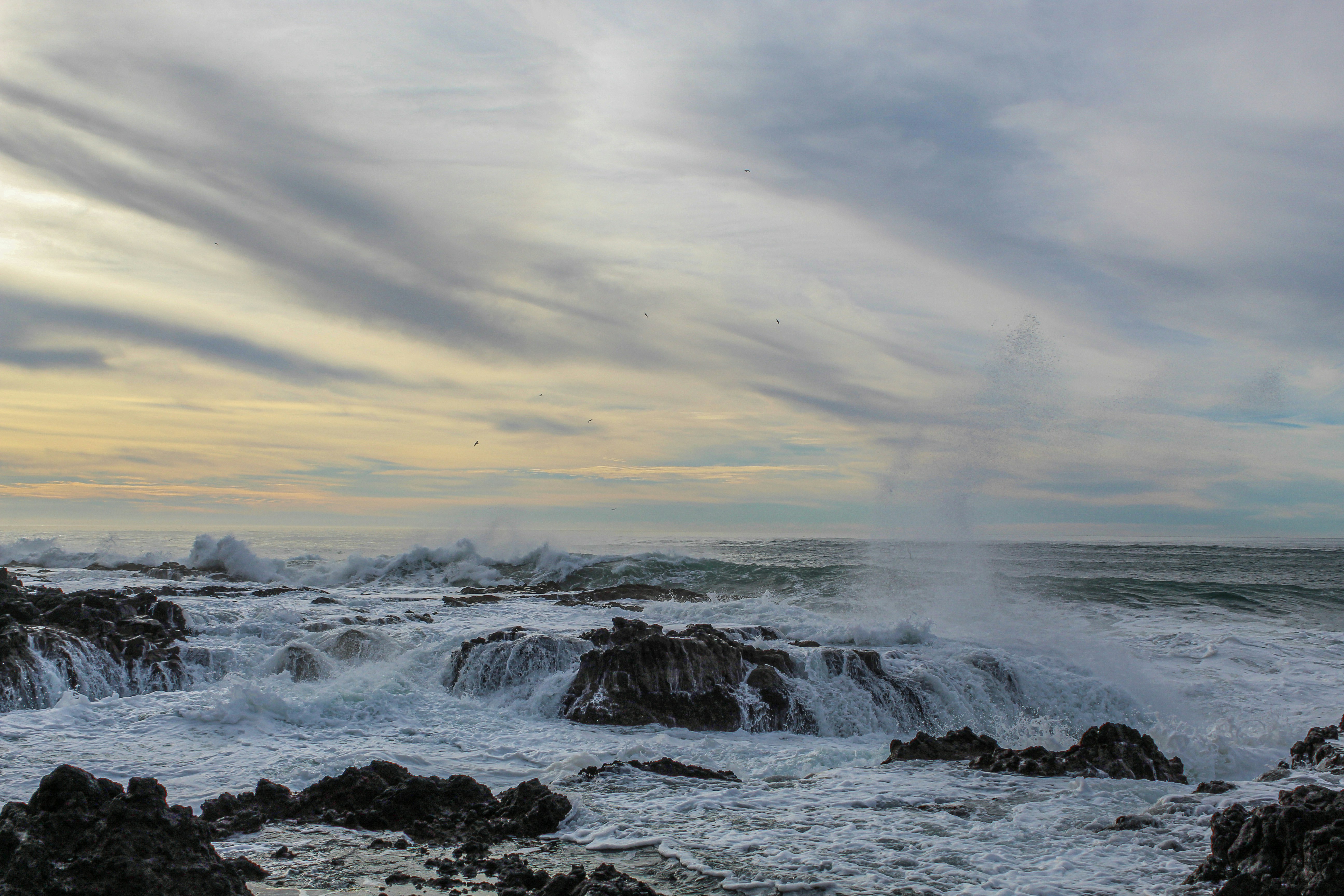 Photo by subm3rged_photography