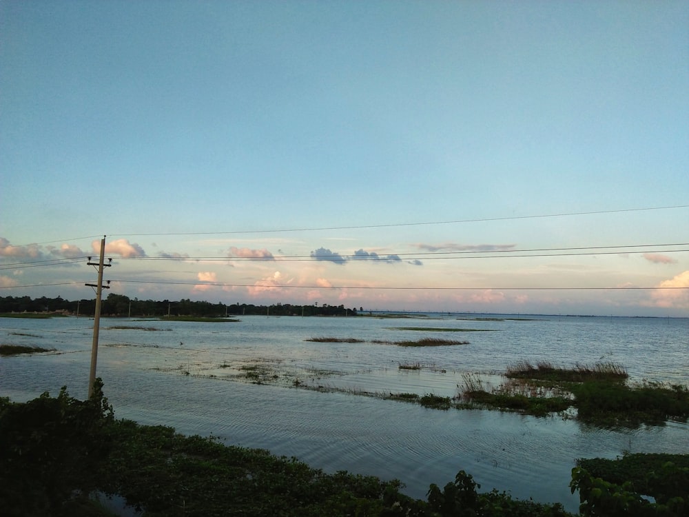 body of water during daytime