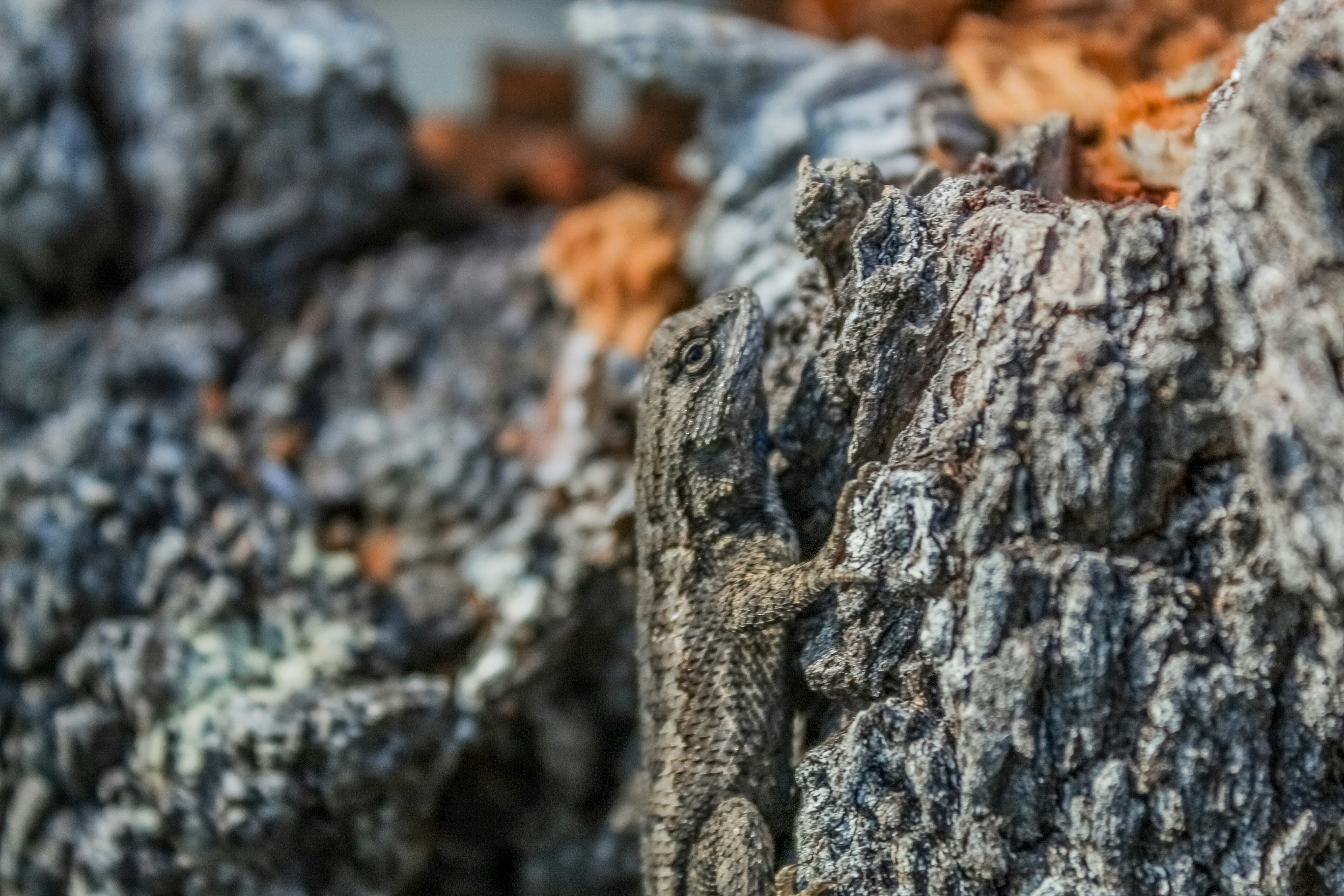 Photo by subm3rged_photography