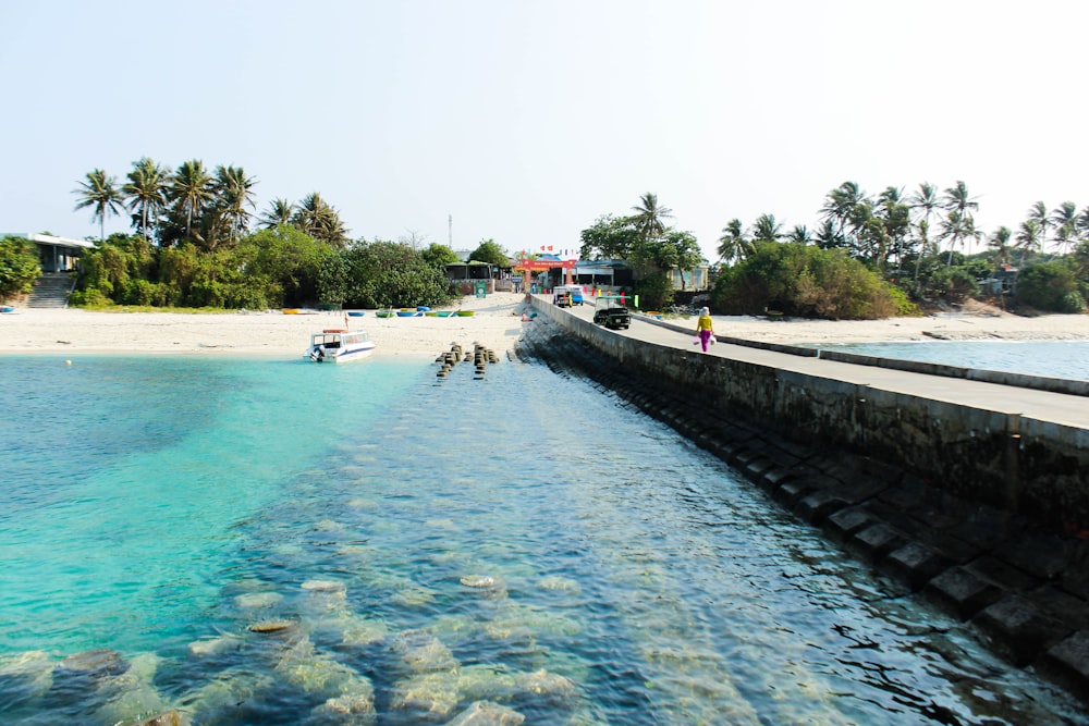 body of water near shore and trees