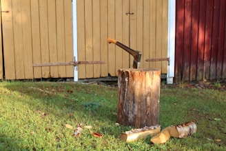 An axe is embedded in a tree stump surrounded by chopped wood pieces in a grassy area in front of a wooden shed with yellow and red painted panels.