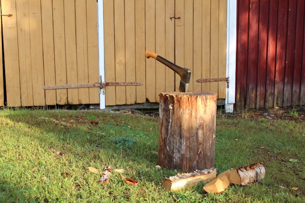 An axe is embedded in a tree stump surrounded by chopped wood pieces in a grassy area in front of a wooden shed with yellow and red painted panels.