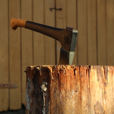 axe on wood log