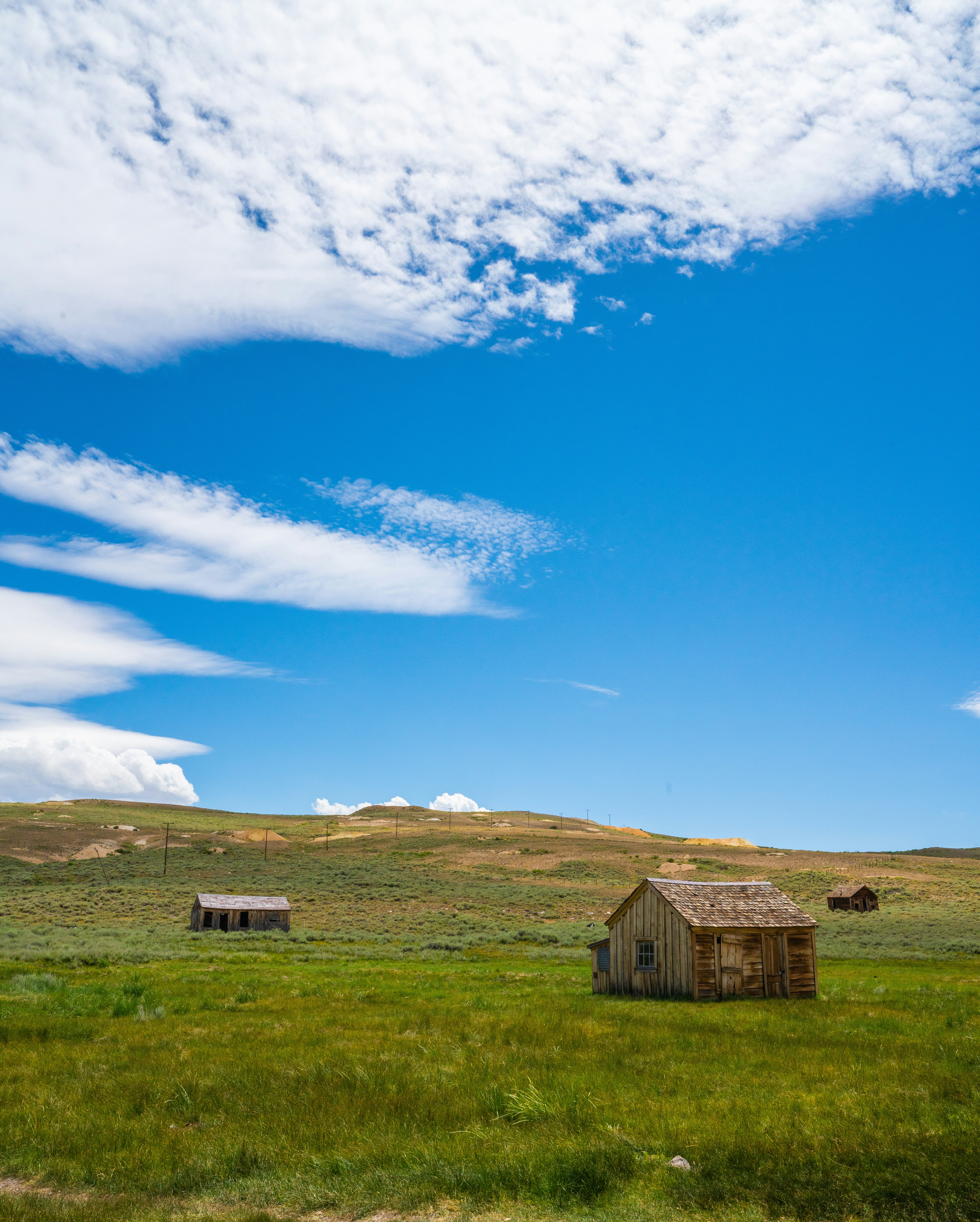 Firestone Homes For Sale Near Walking Trails