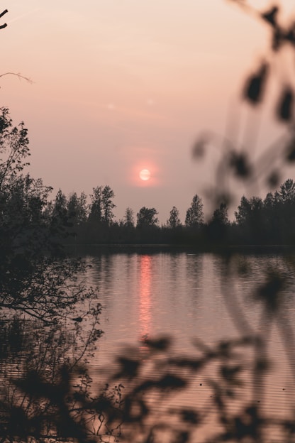 A serene outdoor scene with a gentle sunset, symbolizing peace and reflection.