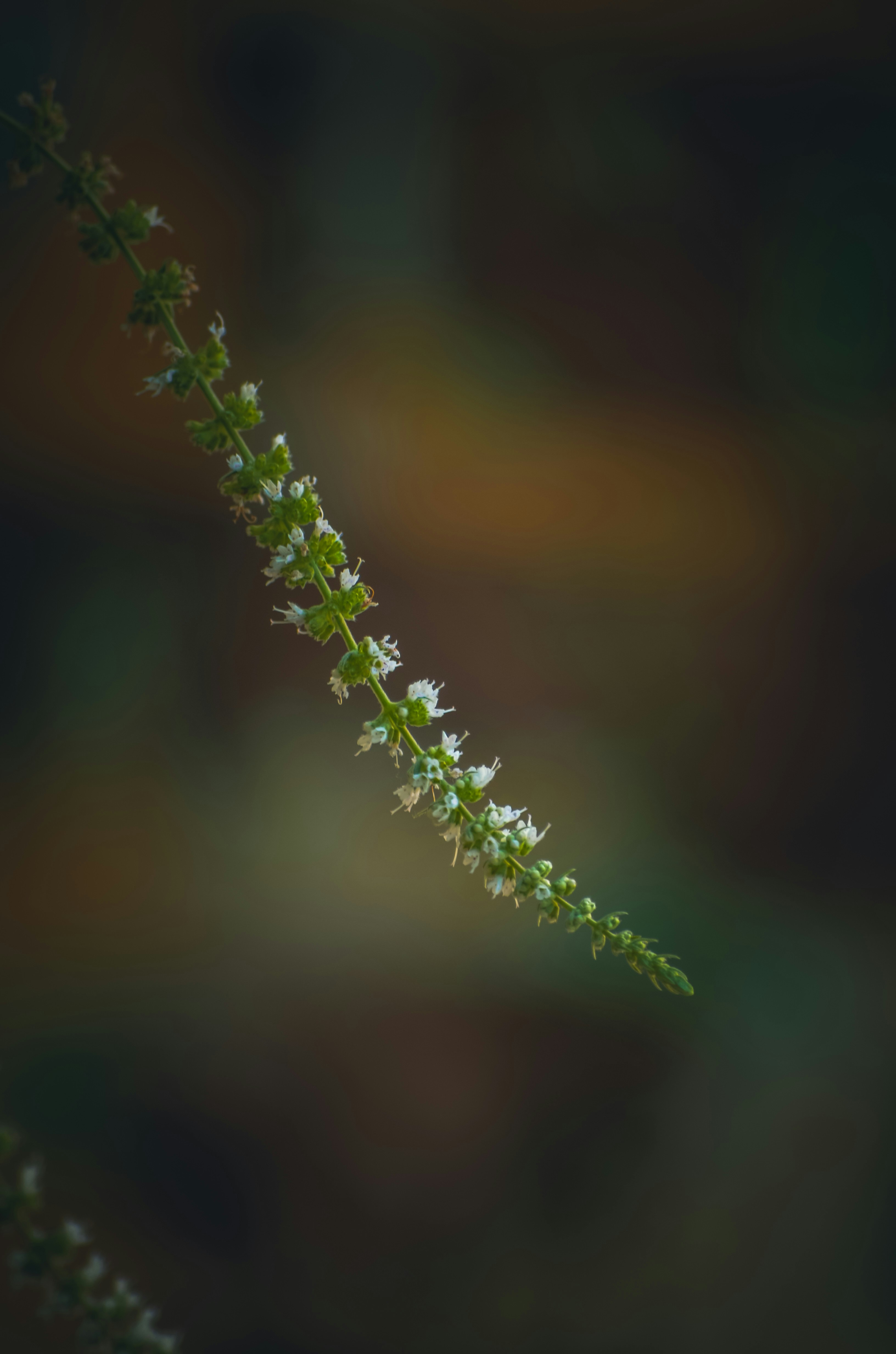 Photo by kamil_mehmood777