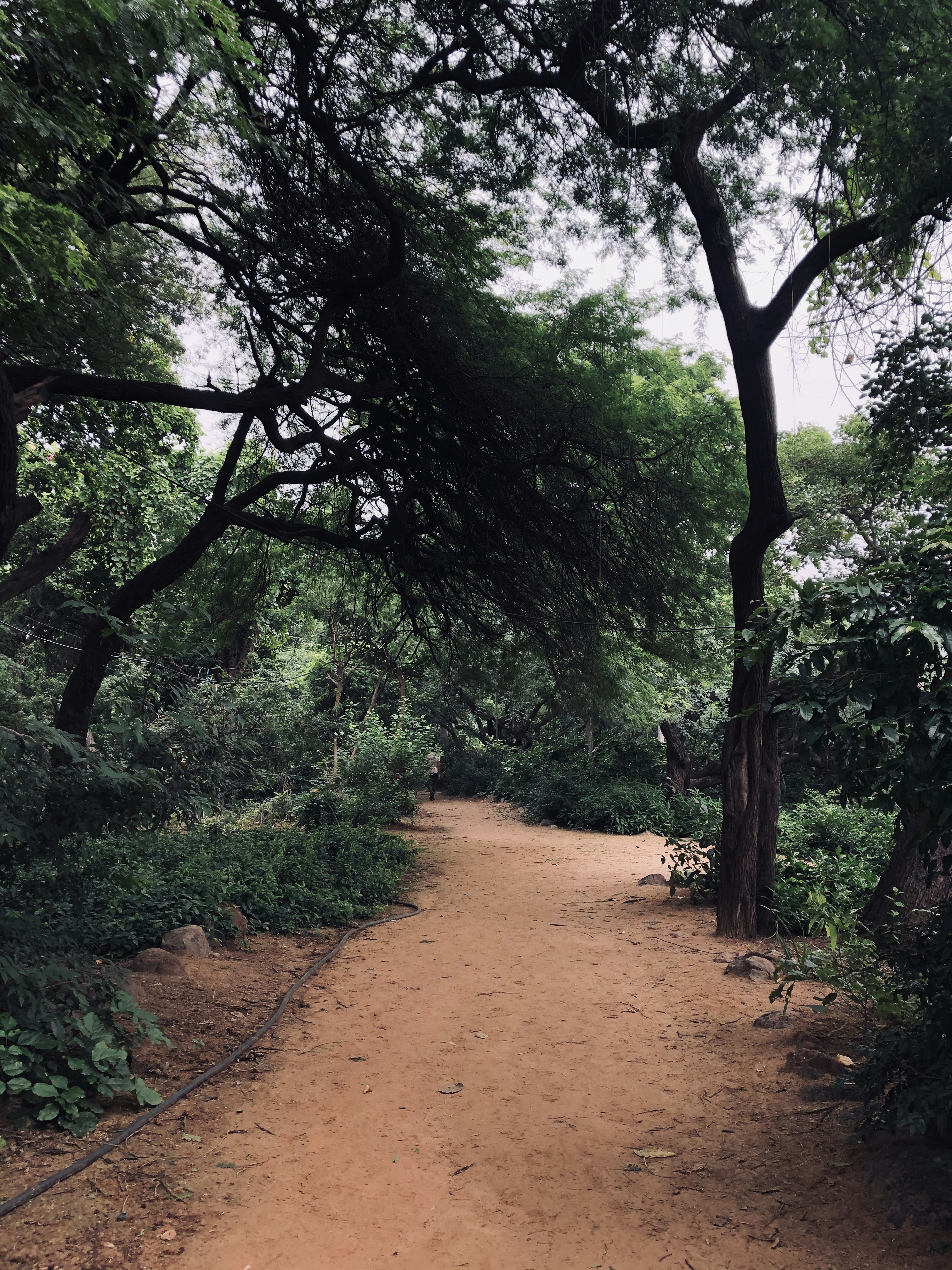 Photo by havencreative