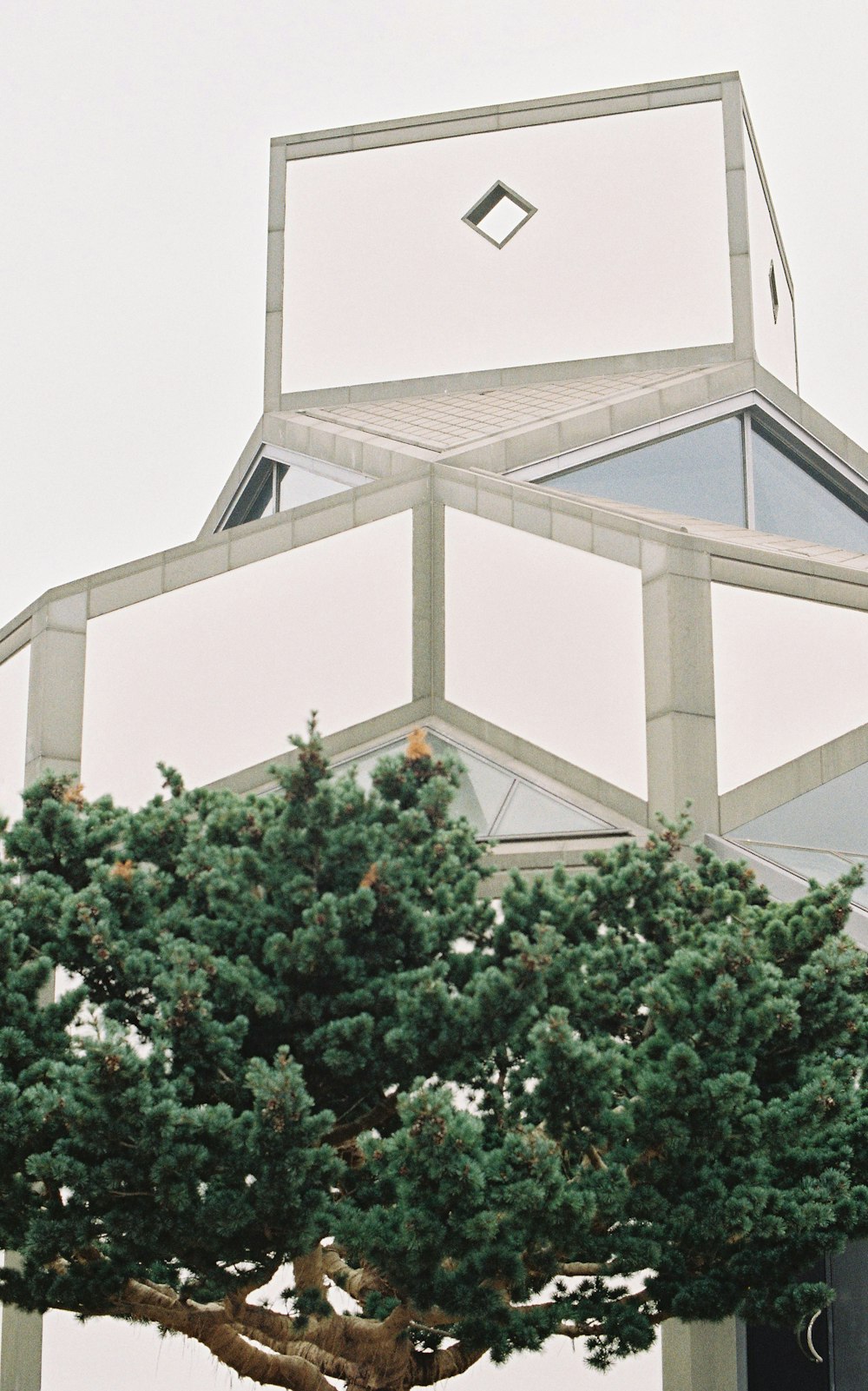 green tree near building