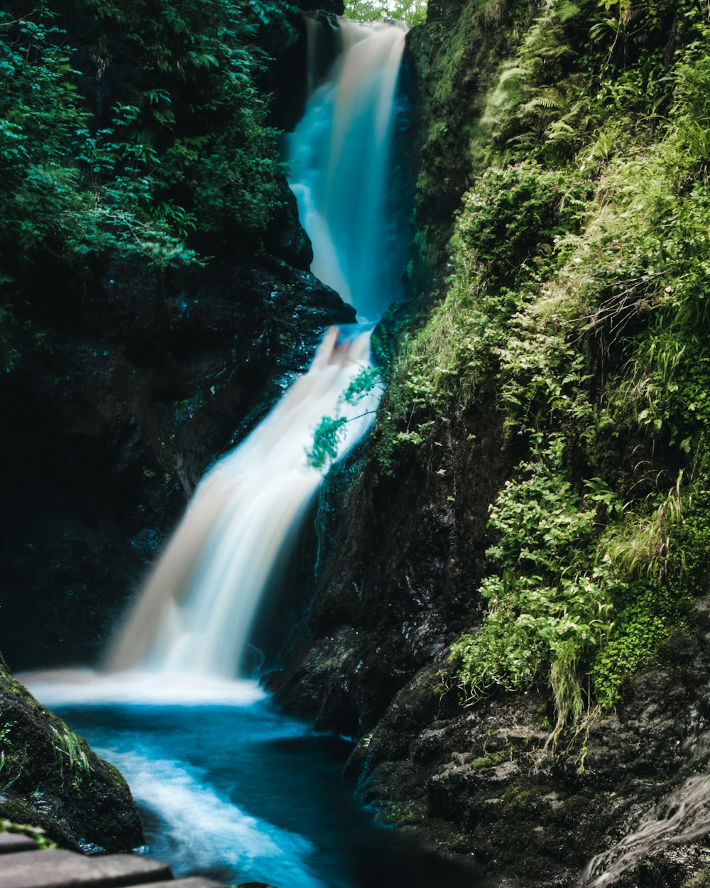 waterfalls surrounded with plants during daytime